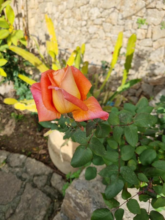 Villa Sul Molo Tra Siracusa E Catania Аугуста Экстерьер фото